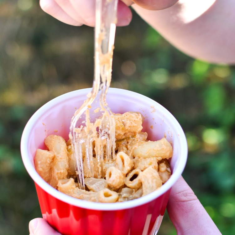 Quick Smoky White Cheddar Camping Mac and Cheese - The PERFECT meal for your next camping trip, sure to please all! Boil the noodles at home for quick cooking at the campsite! - ProjectMealPlan.com