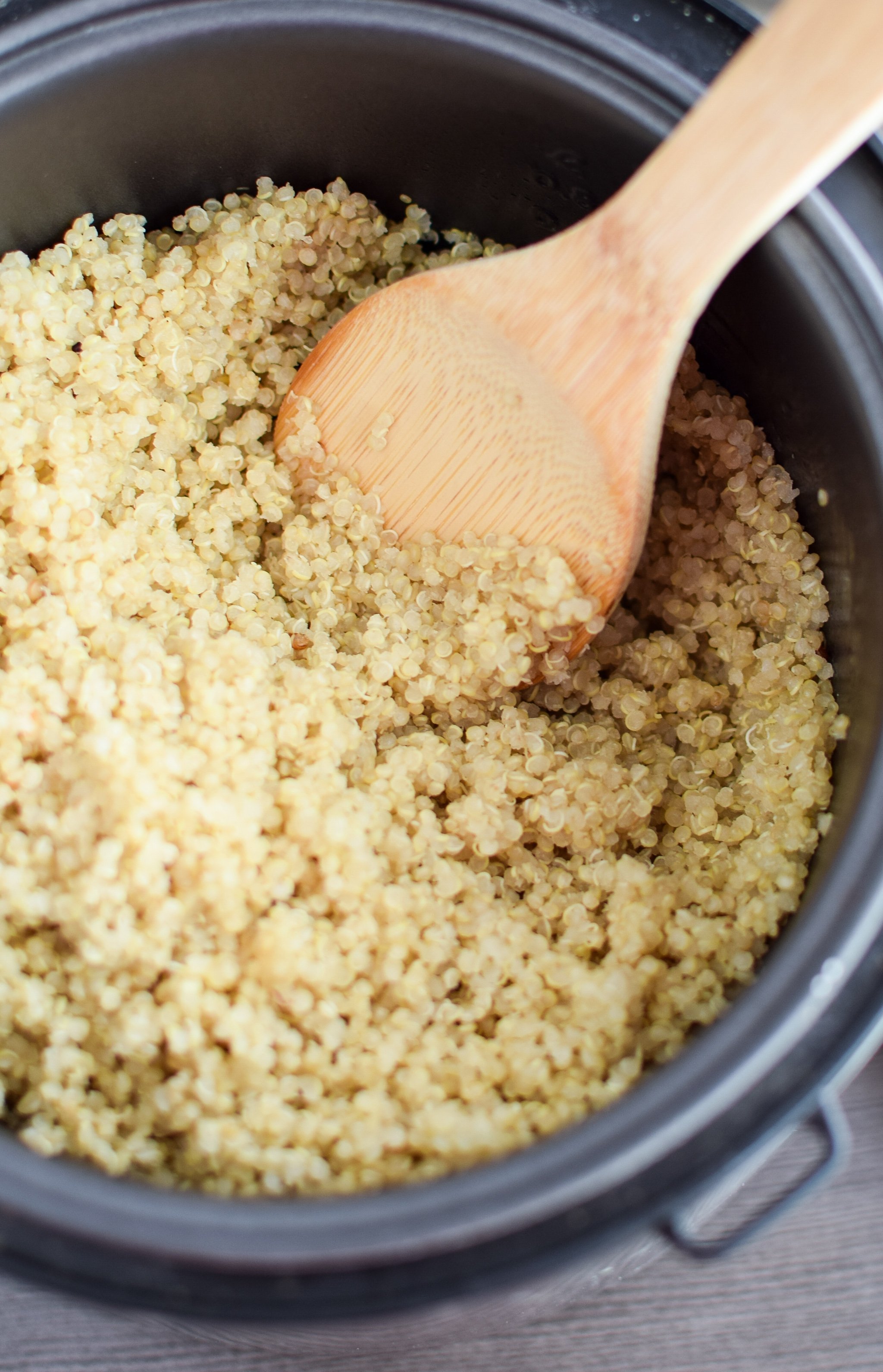 Cooked quinoa made in a rice cooker.