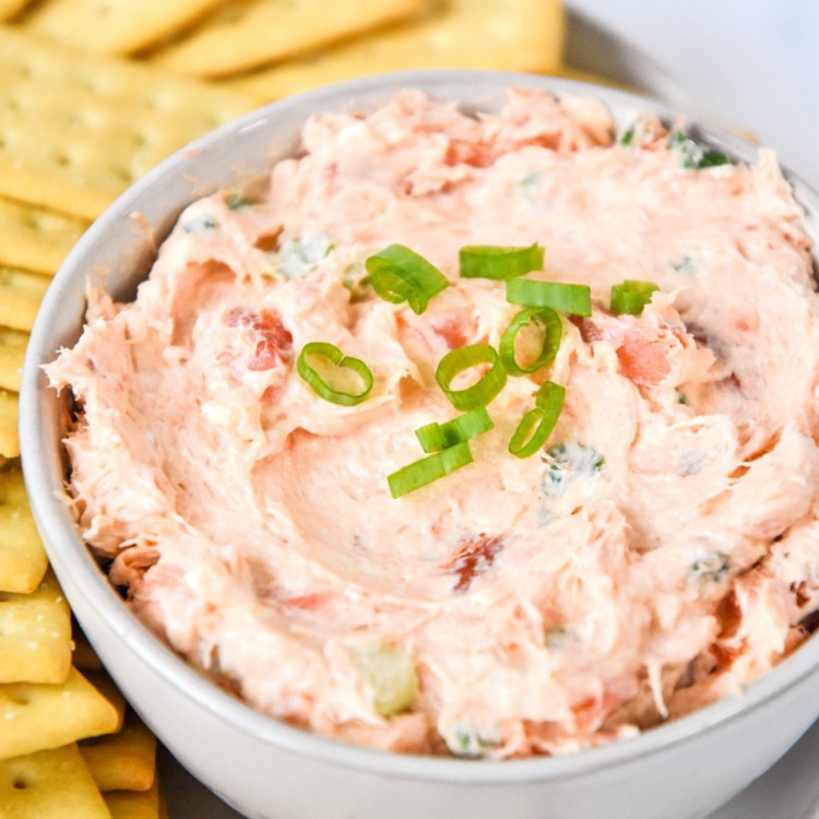 hot smoked salmon cream cheese dip being served in a bowl with crackers.