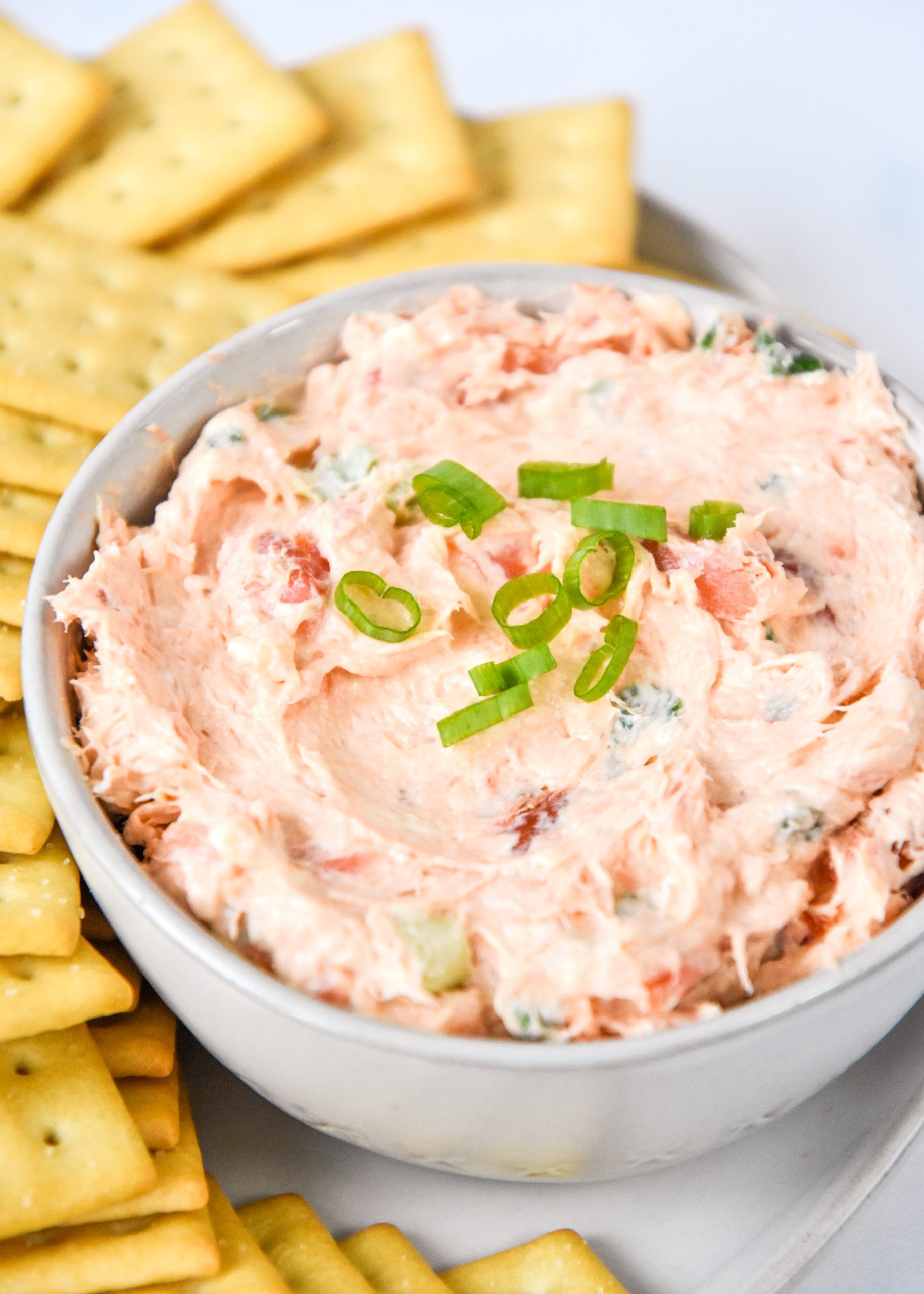 Hot Smoked Salmon Cream Cheese Dip Project Meal Plan   Easy Smoked Salmon Pate Dip Hero Crackers Scaled 