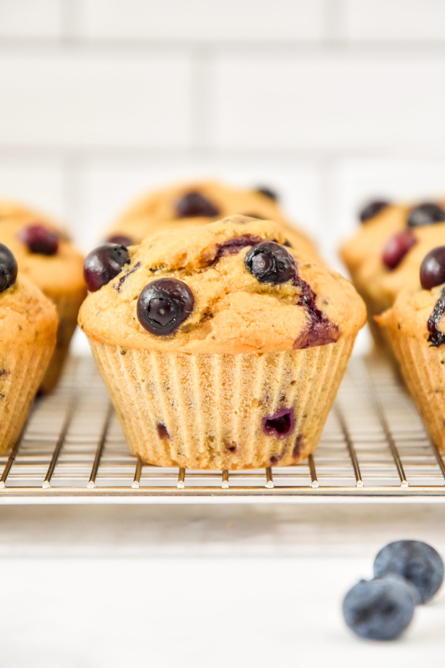Blueberry Lemon Pancake Mix Muffins Project Meal Plan