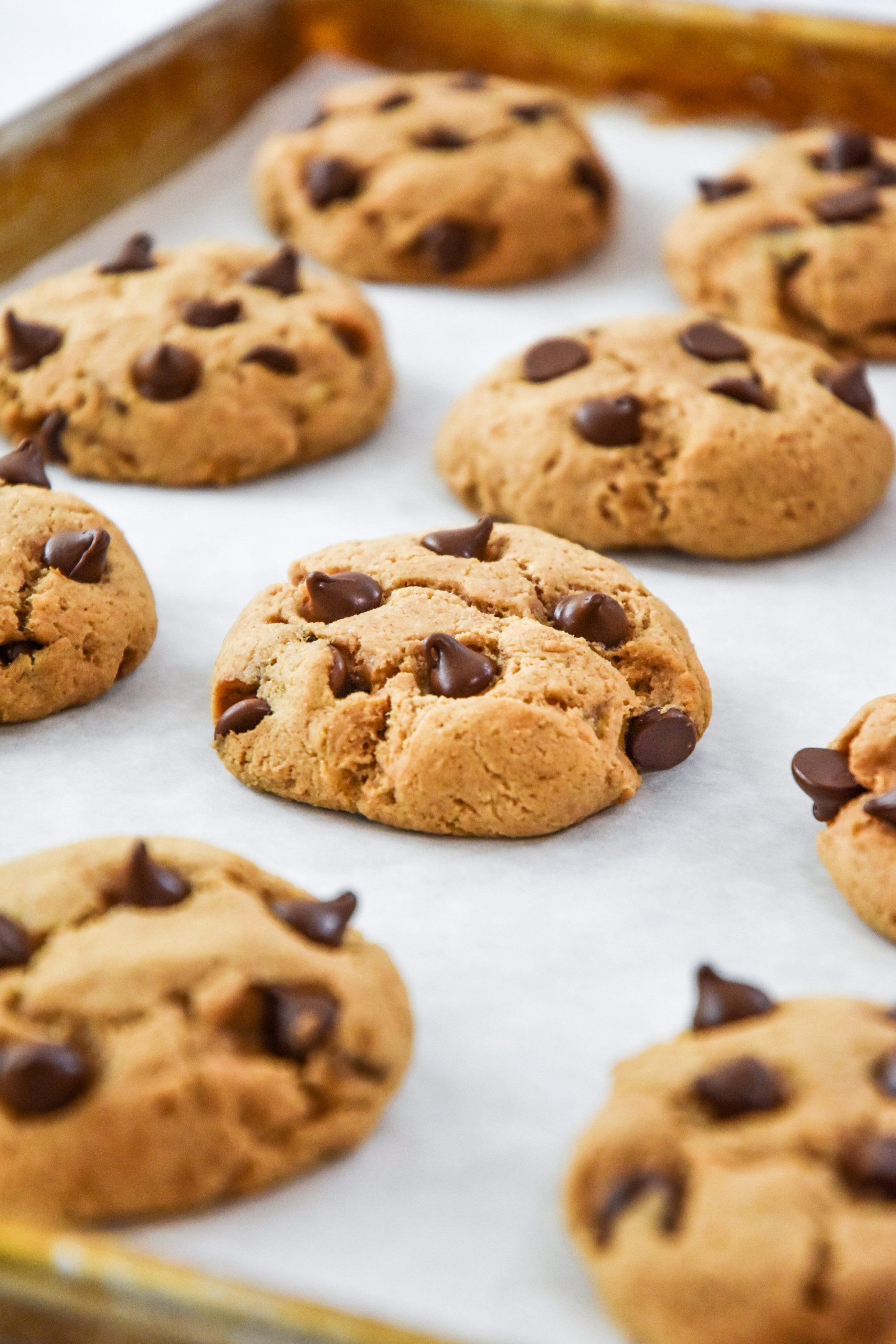 Chocolate Chip Pancake Mix Cookies